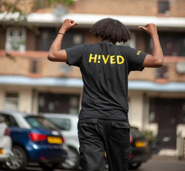 HIVED project image 7
