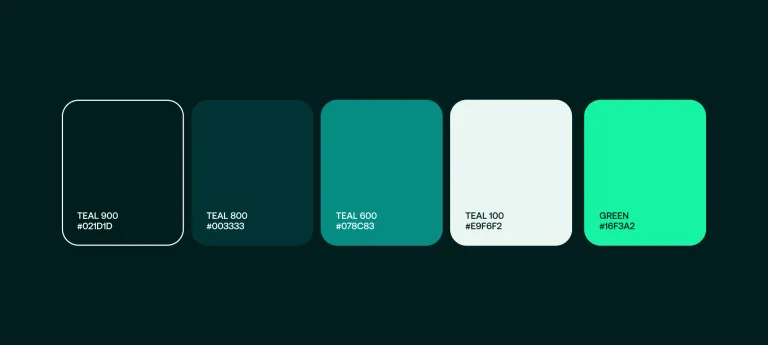 Medudy brand colour palette