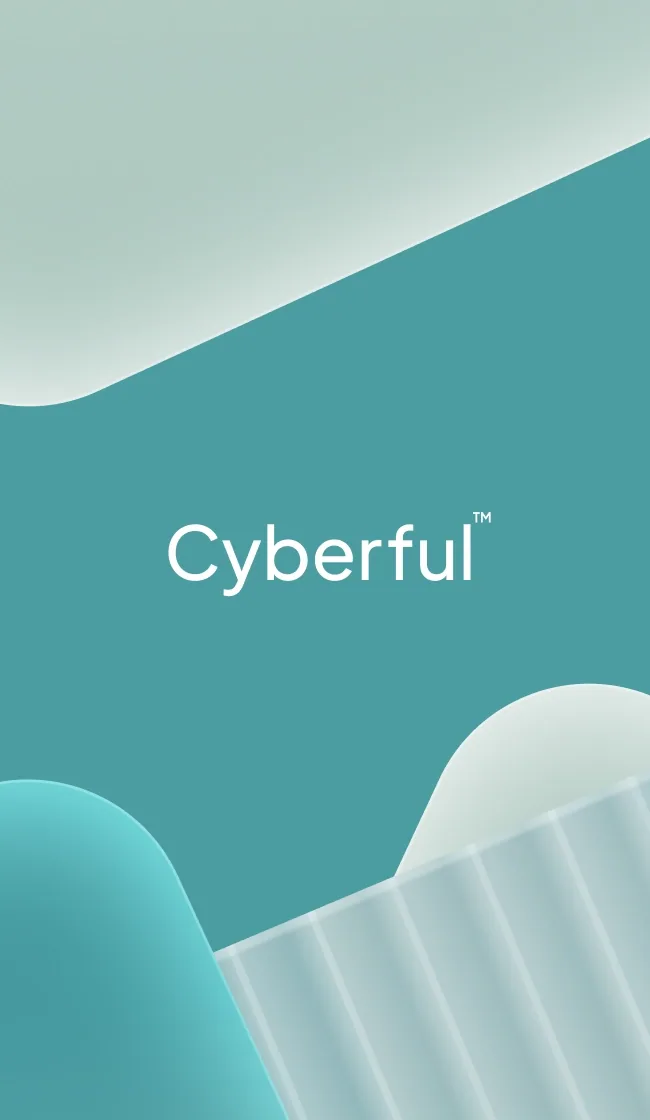 Cyberful project image 1